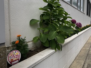 株式会社カクマル花壇3