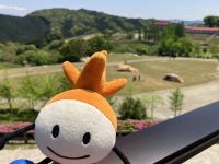 油山福岡の風景