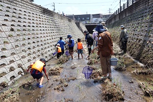 自然観察会の様子5