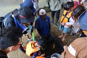 自然観察会の様子6