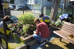 入道ヶ浦公園花壇2