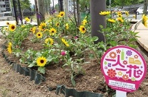 別府西公園花壇