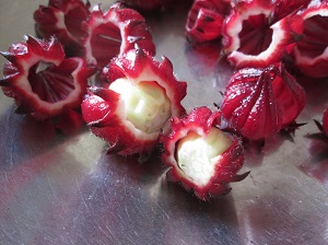 ハイビスカスローゼル