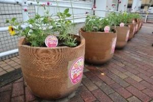 別府駅駐輪場の花植え2