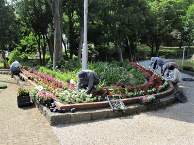 花植え作業中写真