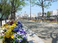 樋井川リバーサイドの写真2