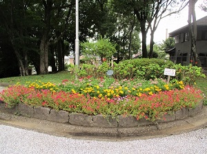 幸せのロータリー花壇