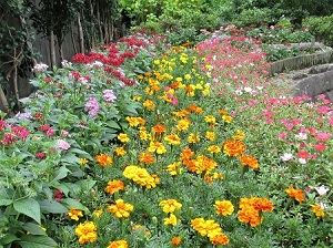 函館の夜景花壇