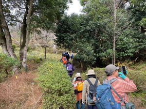 参加者が植物の写真をとっている写真