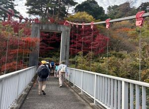 つり橋をわたる様子