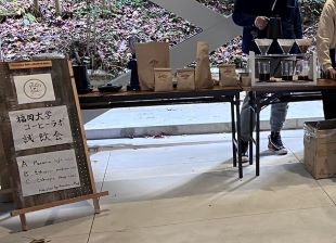 コーヒー試飲の様子