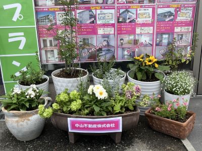 中山不動産の花壇