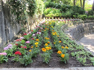 函館の夜景花壇