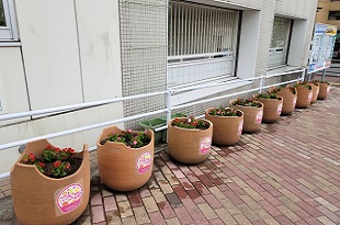 別府駐輪場フラワーポット1