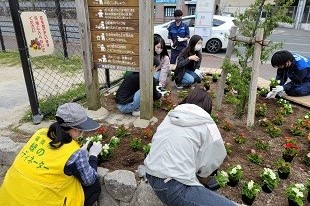 別府西公園花植え作業