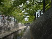 一本松川緑道風景