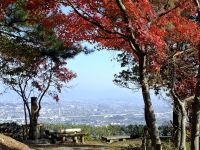 ニッコりん展望所紅葉風景