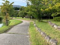 西の堤池の風景