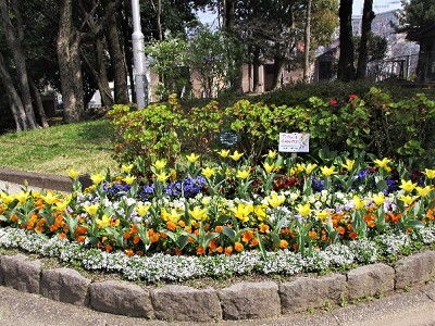 ロータリー花壇