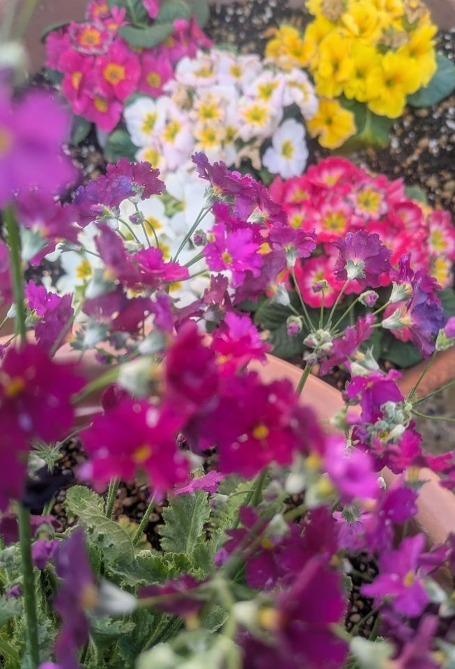 最優秀作品の写真