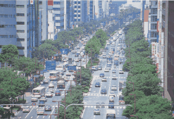 大博通り（平成7年7月27日）の画像