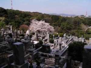 平尾霊園の写真