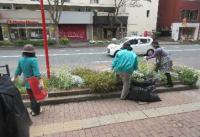 街路樹サポーターの活動風景