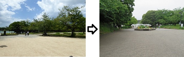 園路整備の状況