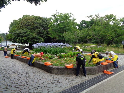 花壇ボランティアによる花づくり