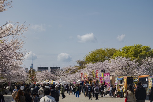 福岡城さくらまつり