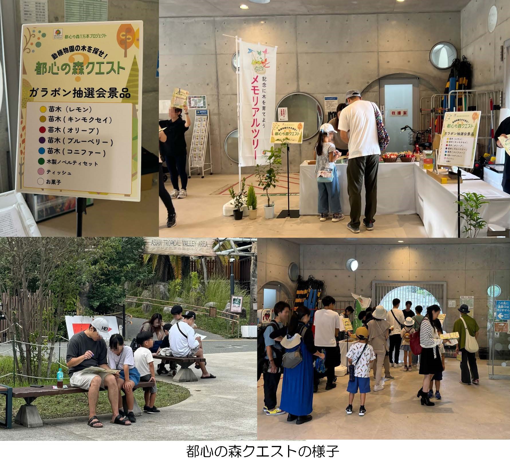 都心の森クエストの様子