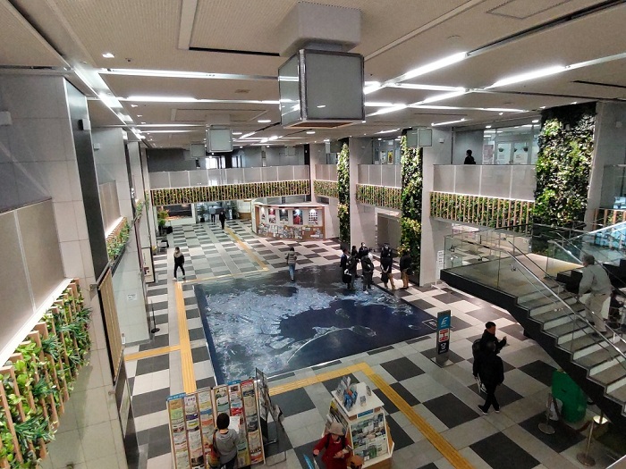 市役所本庁舎１階ロビーの緑化