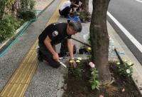 有限会社ヴィーナスギャラリー清川の花壇の様子