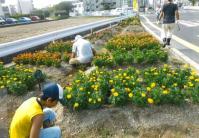 しろうお会の花壇の様子