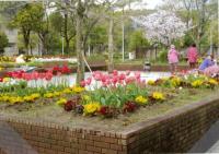 ネクサス香椎泉会の花壇の様子