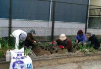 原東町花ボランティアの花壇の様子