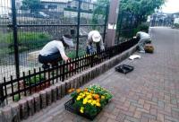 有田４丁目花づくり友愛会の花壇の様子