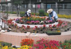 緑化を進める様子