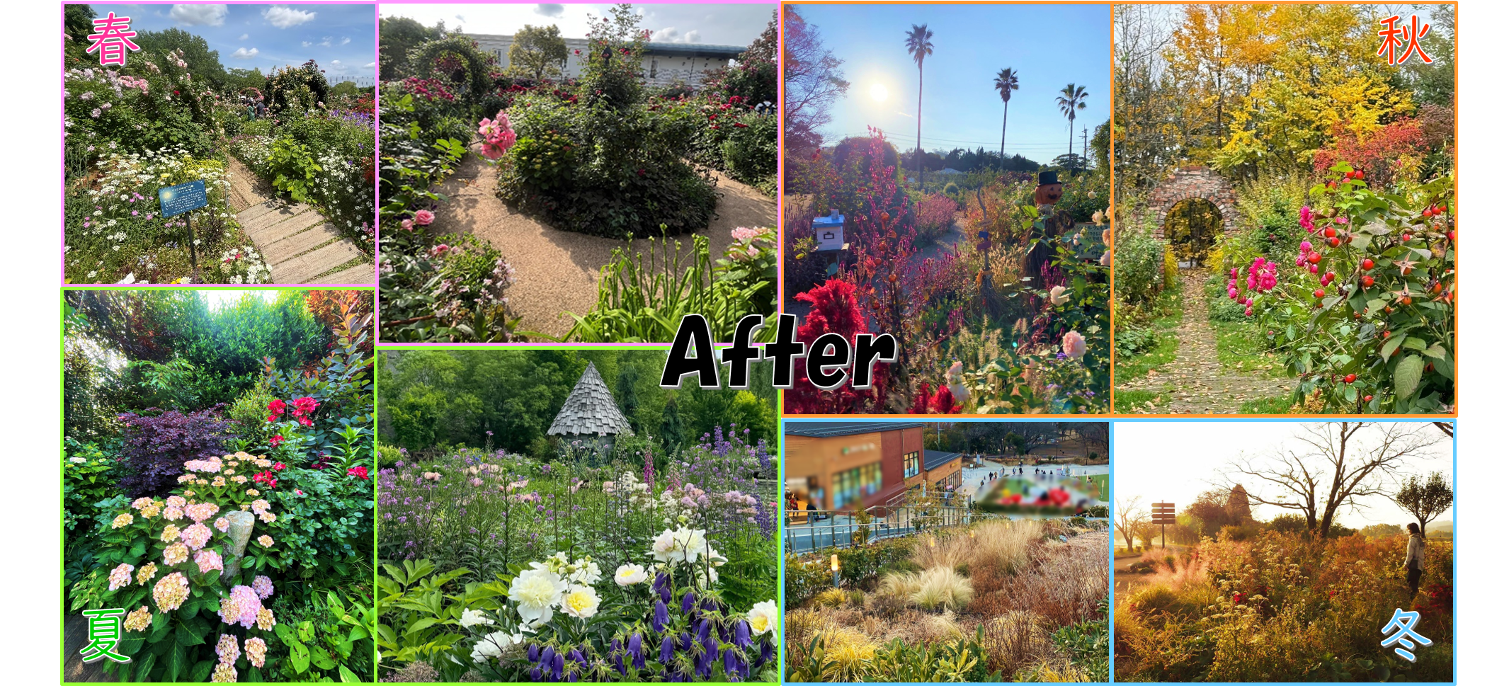 リニューアル後、新エリアのイメージ図