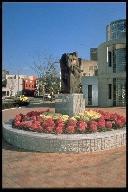 メロディー(写真)