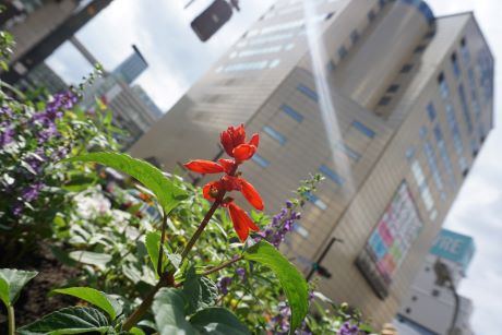 写真：入選 キッズ部門８