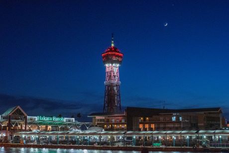 写真：入選 一般部門７