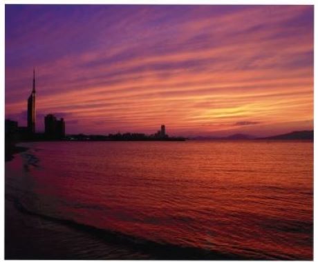 写真：入選 一般部門４