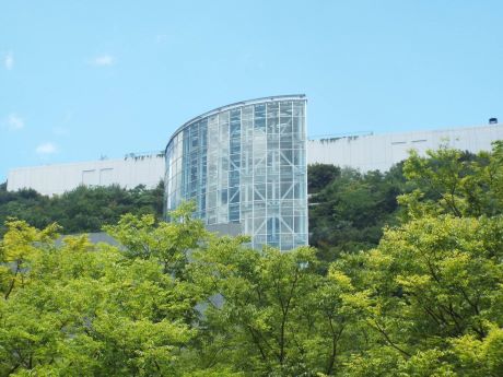 写真：入選 キッズ部門５