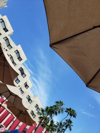 キッズ部門【優秀賞】の写真