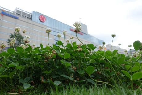 写真：優秀賞 キッズ部門３