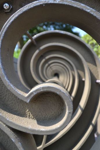 キッズ部門【入選】の写真