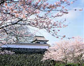 福岡城（舞鶴公園）の写真