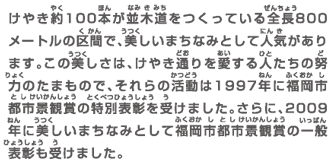 けやき約100本が並木道をつくっている全長800メートルの区間で、美しいまちなみとして人気があります。この美しさは、けやき通りを愛する人たちの努力のたまもので、それらの活動は1997年に福岡市都市景観賞の特別表彰を受けました。さらに、2009年に美しいまちなみとして福岡市都市景観賞の一般表彰も受けました。