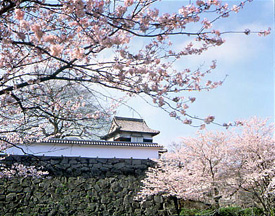 ふくおかの景観クイズ第5問の風景画像